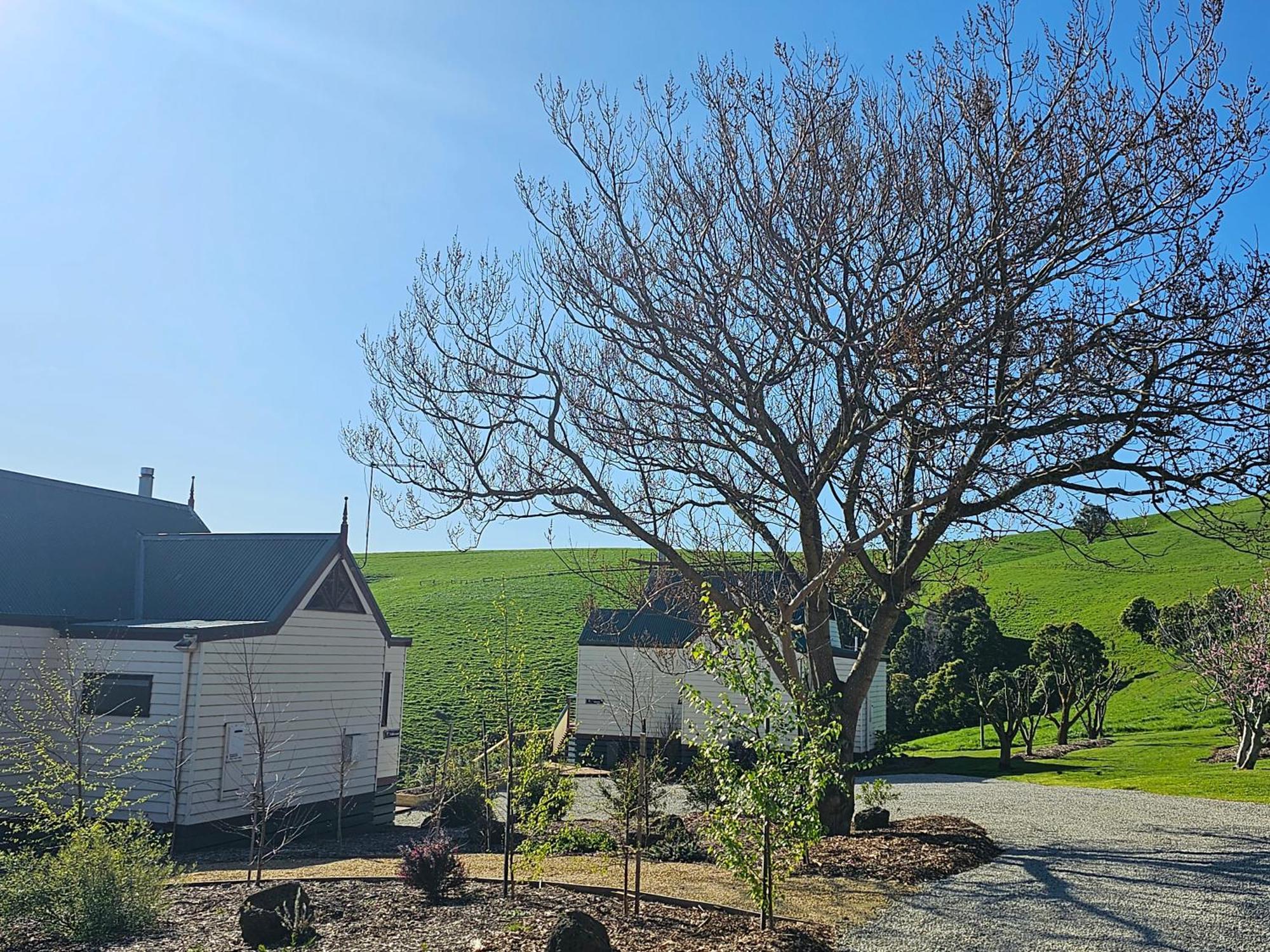Maple Ridge Cottages Dumbalk Dış mekan fotoğraf