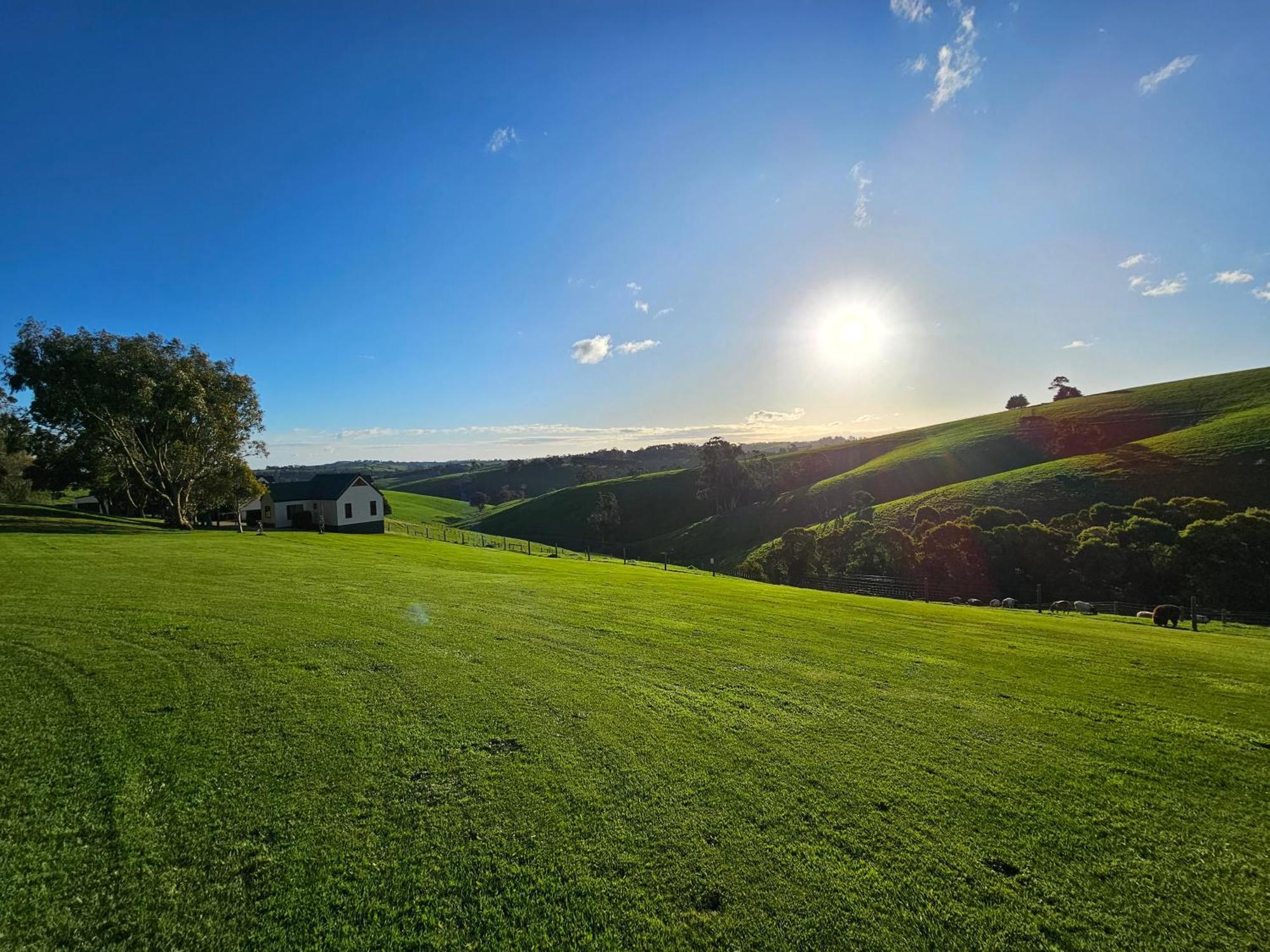 Maple Ridge Cottages Dumbalk Dış mekan fotoğraf