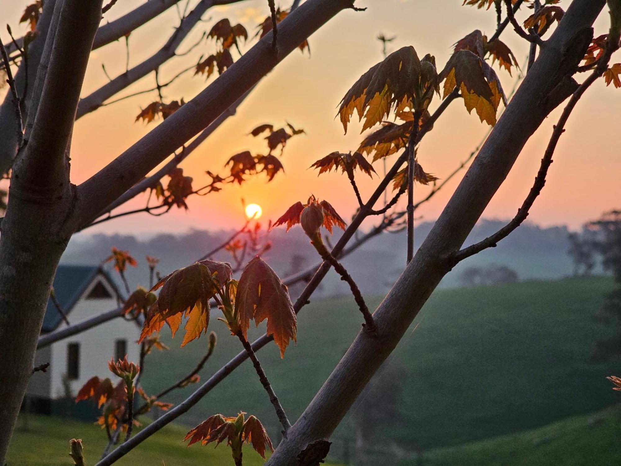 Maple Ridge Cottages Dumbalk Dış mekan fotoğraf