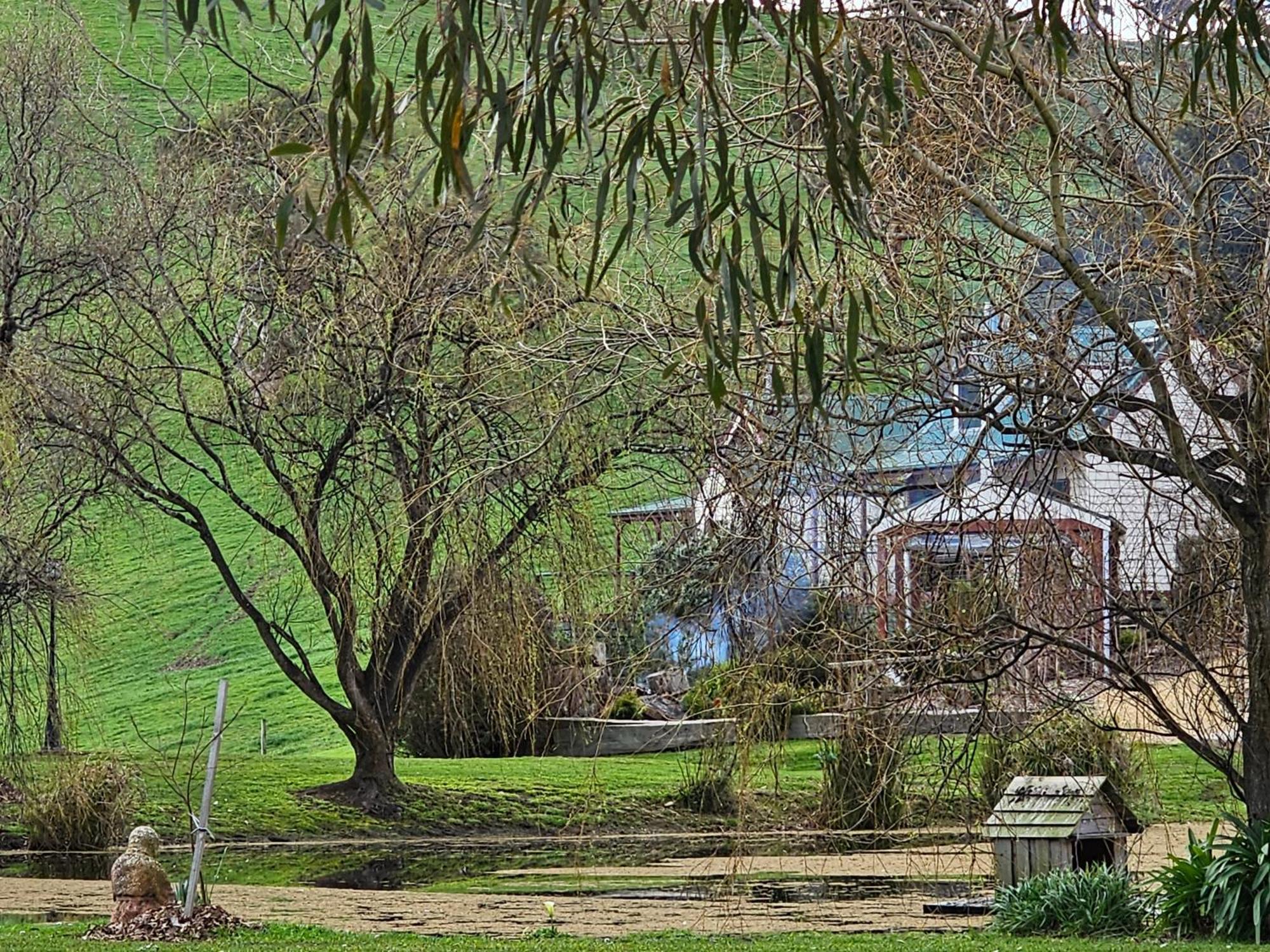 Maple Ridge Cottages Dumbalk Dış mekan fotoğraf